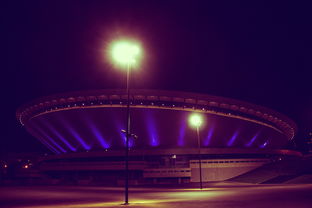 米兰官方网站-江苏队新秀崭露头角，未来电竞场盛放！，江苏电竞职业选手有谁